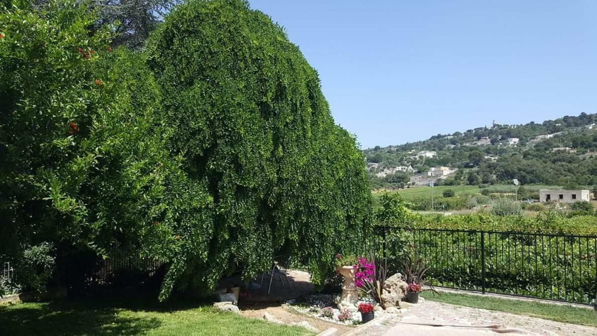 Villa Barone Selva Di Fasano Exteriér fotografie